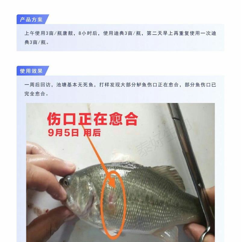 拜耳速补100水产虾蟹蜕壳素硬壳抗应激补充微量矿物元素1