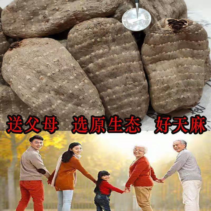 【野生乌天麻】天麻批发价云南昭通小草坝正宗天麻干货切