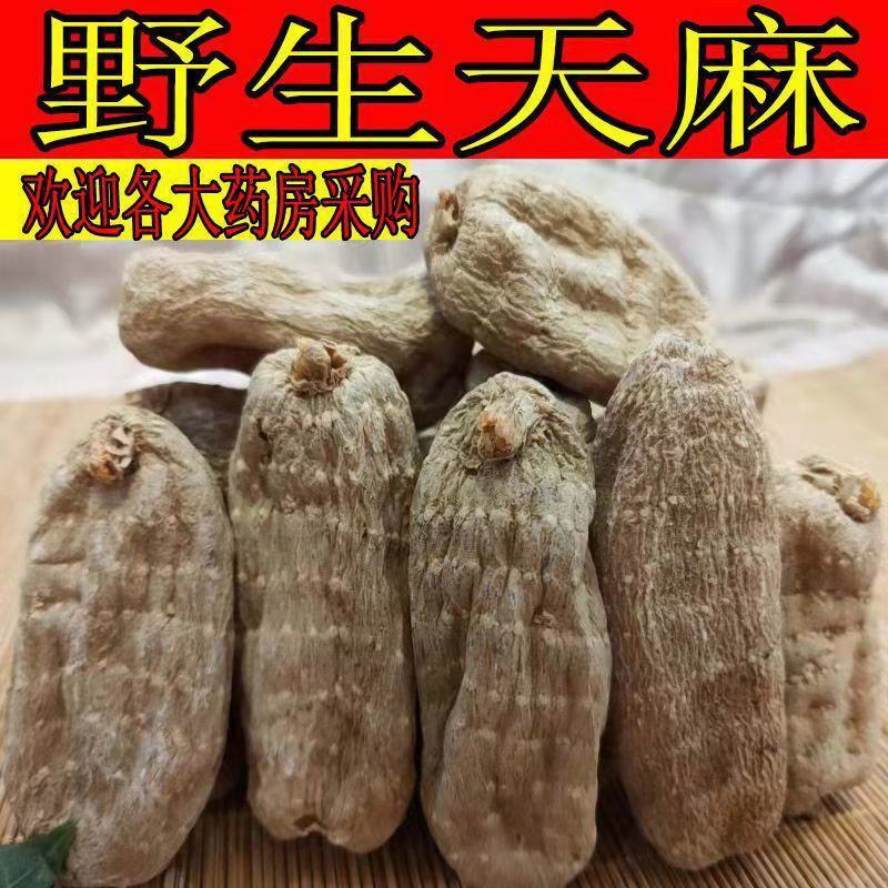 【野生乌天麻】天麻批发价云南昭通小草坝正宗天麻干货切