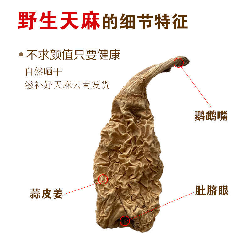 正宗昭通天麻云南头疼头晕批发鲜天麻粉切片
