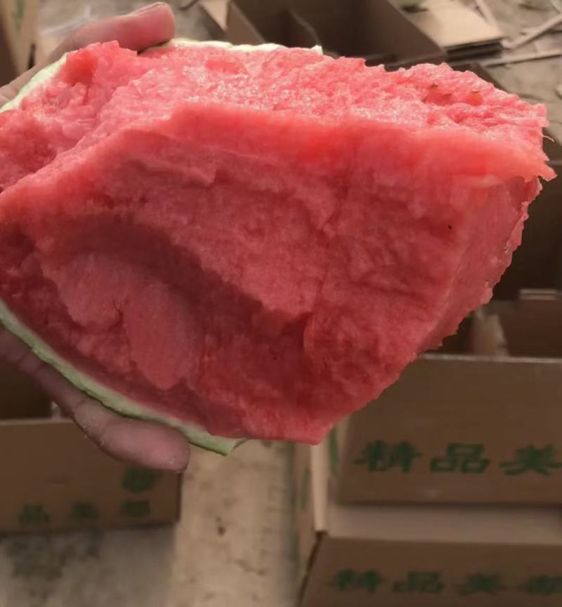 8424，美都，无子产地果园基地寻找长期合作伙伴