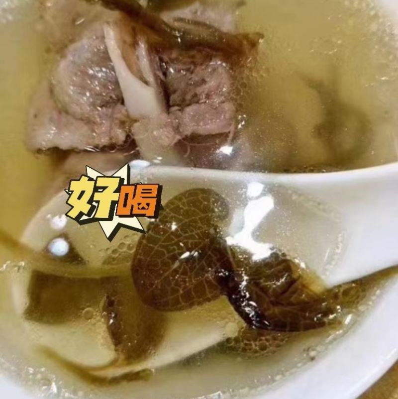 中华神草金线莲林下仿野种植基地直发鲜叶，干品，礼盒代发