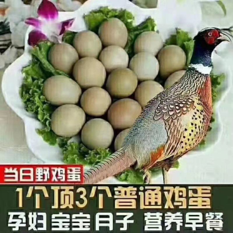 贵州正宗野鸡蛋自家养殖保质保量，长年供应。
