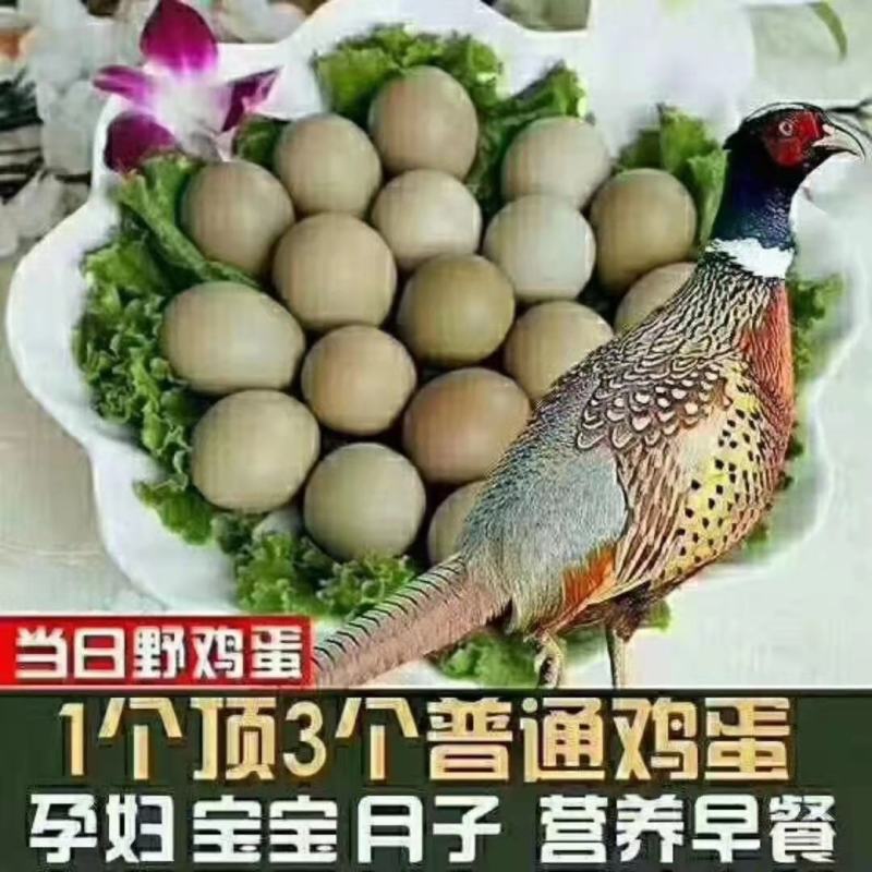 贵州正宗野鸡蛋自家养殖保质保量，长年供应。