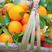 秭归早熟伦晚脐橙大量上市中，产地一手货源供应！