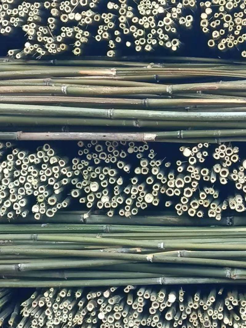 大棚竹干！元竹！豆角架！东瓜架！山药网架