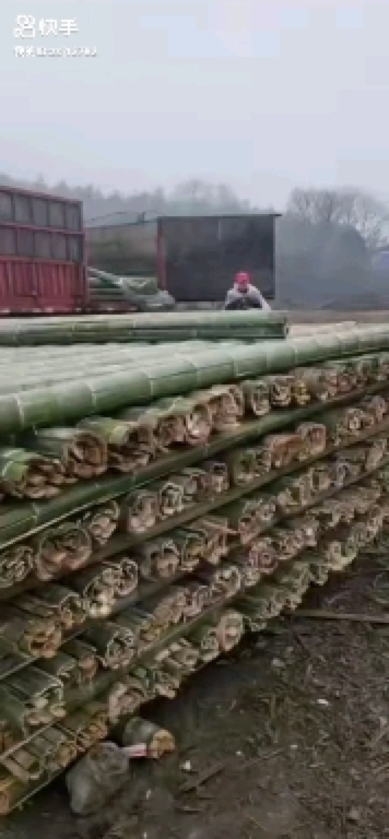 大棚竹干！元竹！豆角架！东瓜架！山药网架