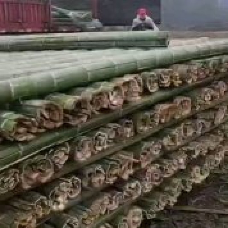 大棚竹干！元竹！豆角架！东瓜架！山药网架