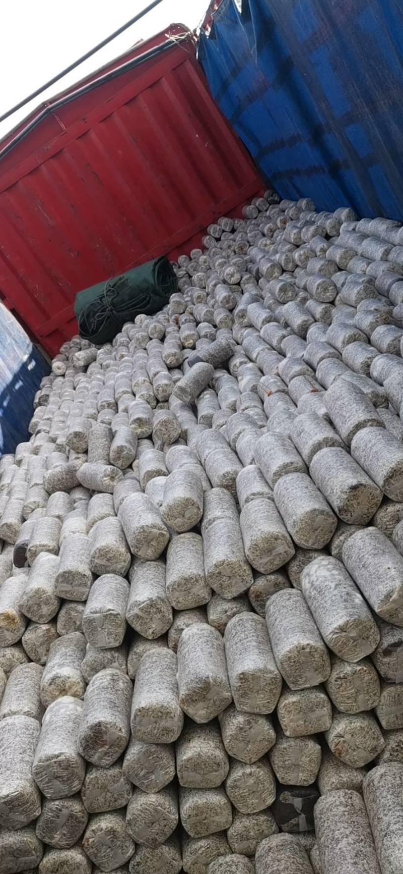 黑木耳，毛木耳，玉耳菌包出菇棒菌种，液体菌种接种品质保证
