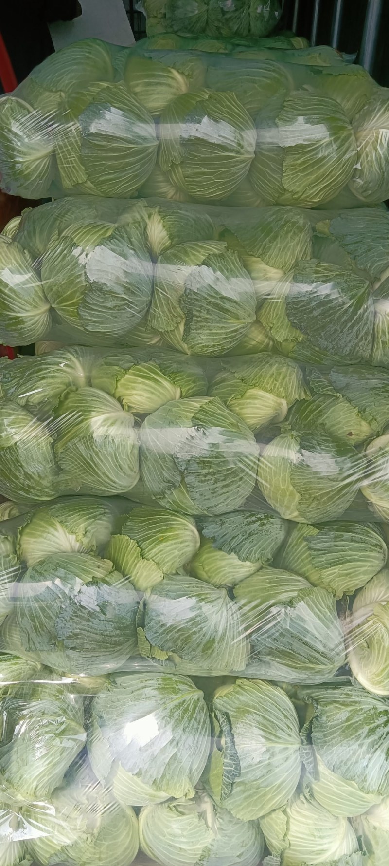 【优选品质】扁包菜现摘现发新鲜本地包菜，农家种植，品质保证