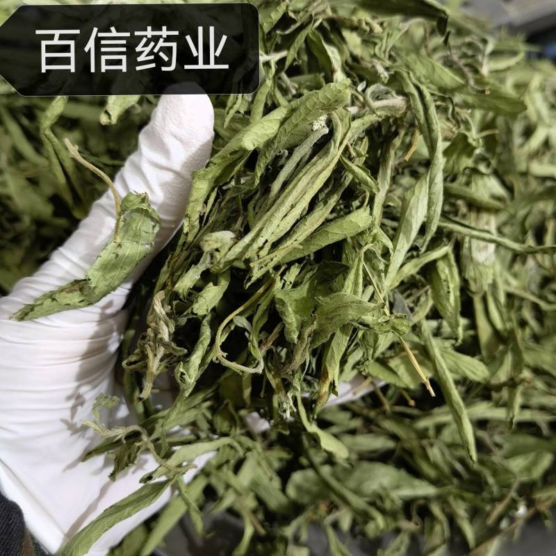 甜叶菊，茶用甜叶菊，无硫新货优选品质，产地直销，量大从优