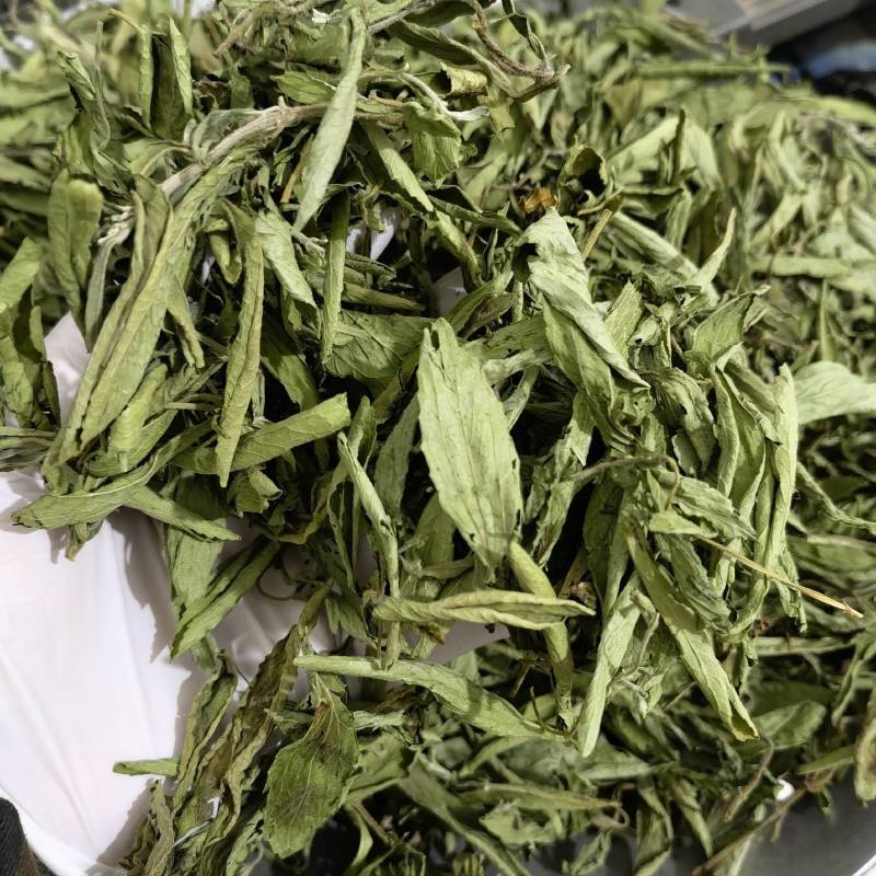 甜叶菊，茶用甜叶菊，无硫新货优选品质，产地直销，量大从优