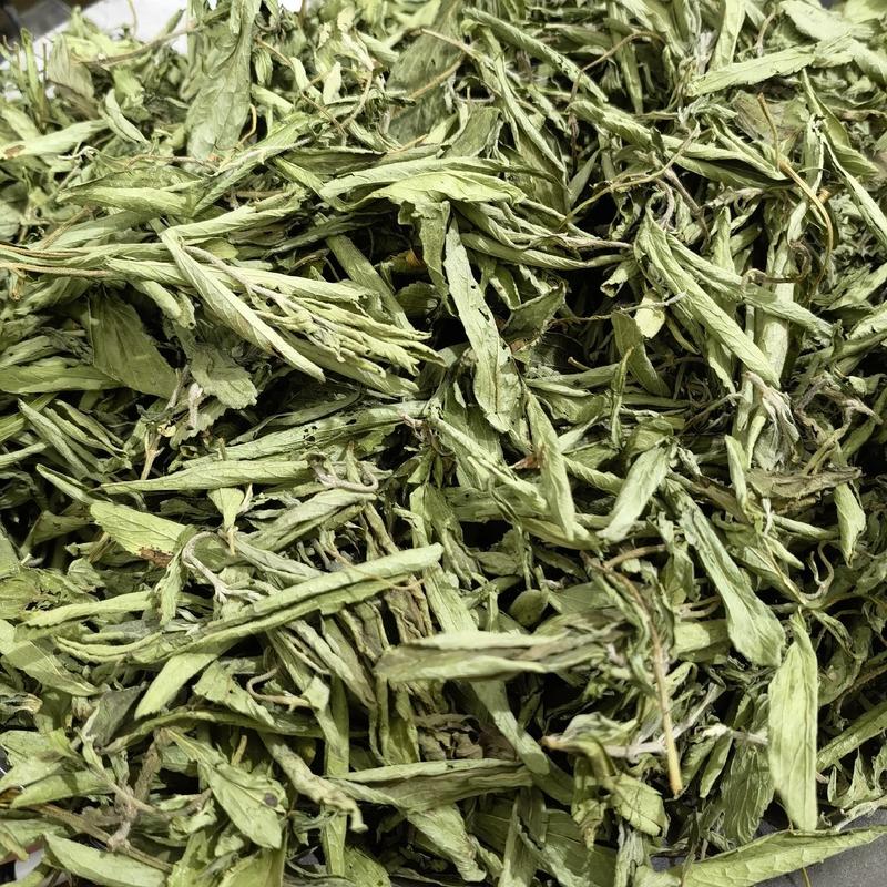 甜叶菊，茶用甜叶菊，无硫新货优选品质，产地直销，量大从优