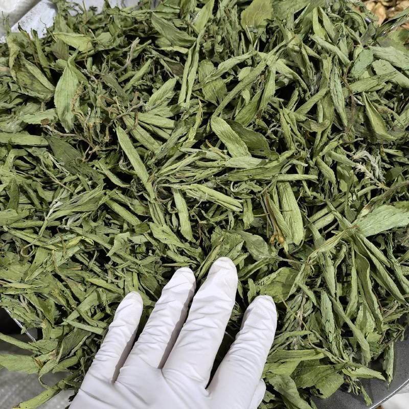 甜叶菊，茶用甜叶菊，无硫新货优选品质，产地直销，量大从优
