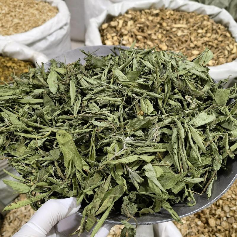 甜叶菊，茶用甜叶菊，无硫新货优选品质，产地直销，量大从优