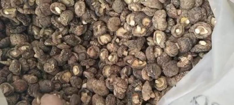 【干香菇】肉厚颜色干度质量好！精选冬菇大小均匀，规格齐全