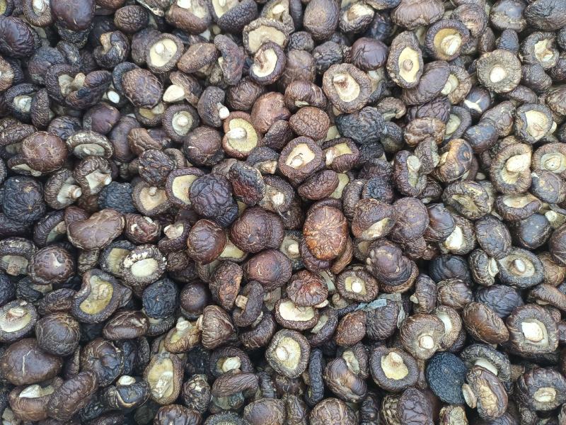 【干香菇】肉厚颜色干度质量好！精选冬菇大小均匀，规格齐全