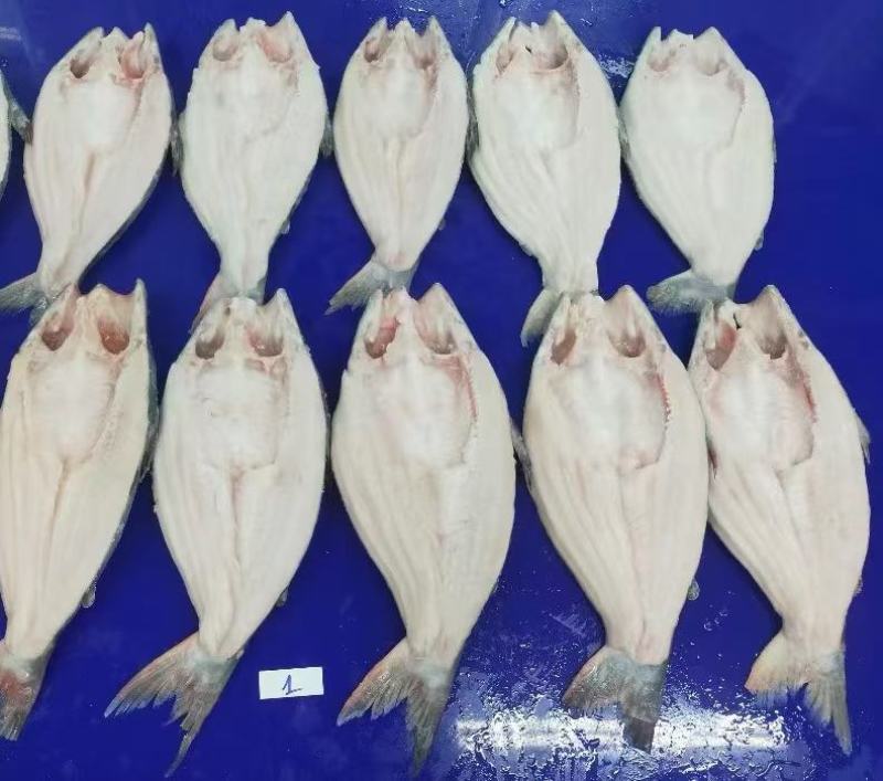 巴沙鱼批发