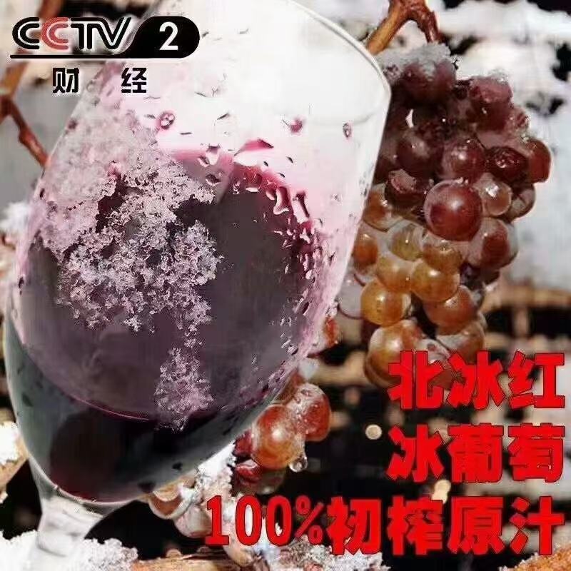 ️北冰红葡萄酒来自冰天雪地的献礼，11度5斤装包邮到家