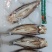 福湘老船长坛香醉鱼醉鸡