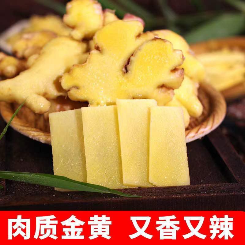 云南高山小黄姜新鲜生姜批发现挖嫩姜新姜老姜月子姜