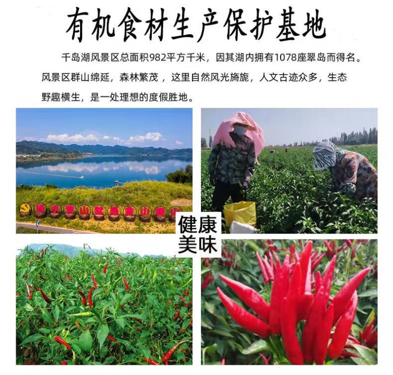 🔥精品原味朝天椒～厂家一手货源批发辣的😊