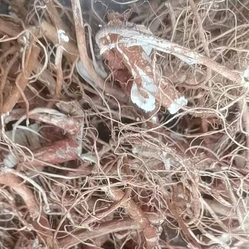 中药五指毛桃/五指毛桃干货/无硫/五指毛桃中小根/