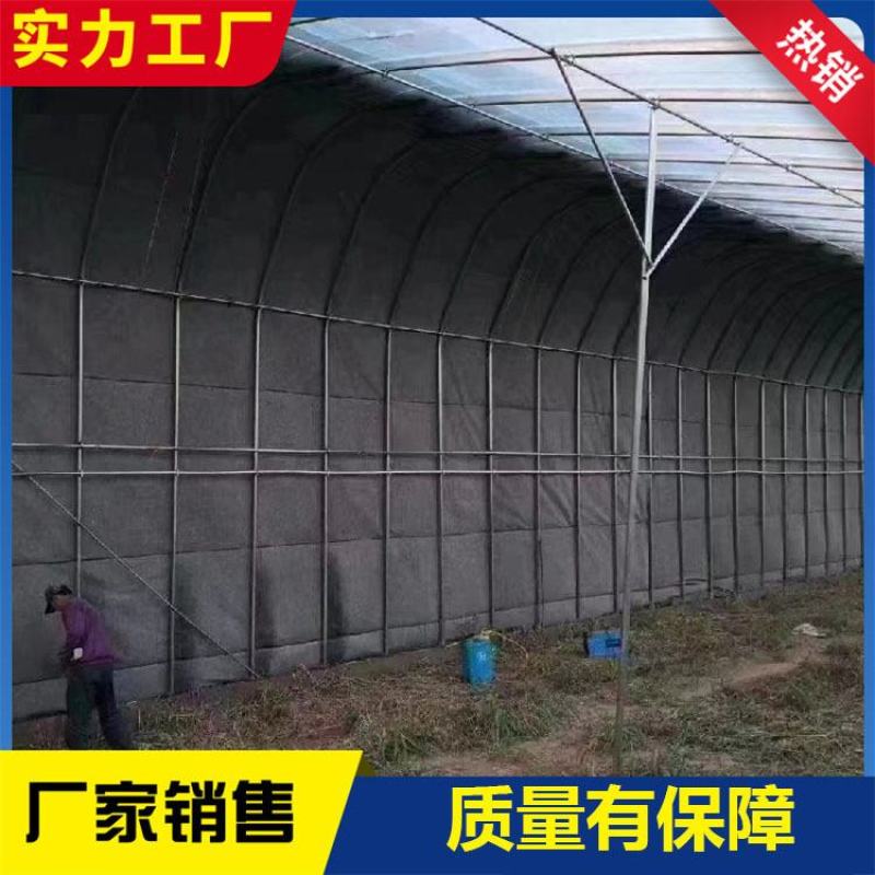 连栋棚蔬菜种植大棚水果种植棚草莓棚大棚管西瓜棚