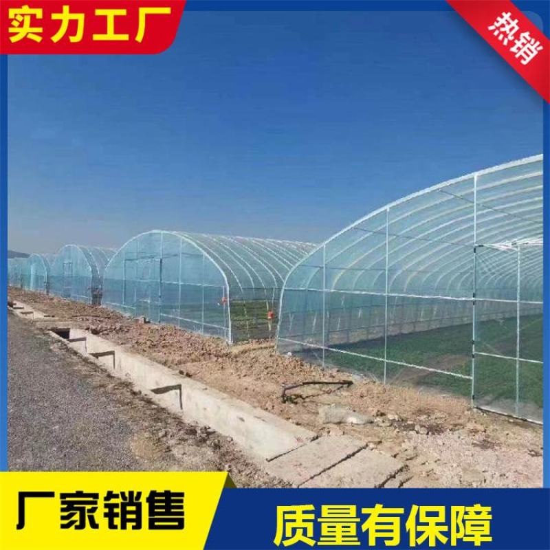连栋棚蔬菜种植大棚水果种植棚草莓棚大棚管西瓜棚