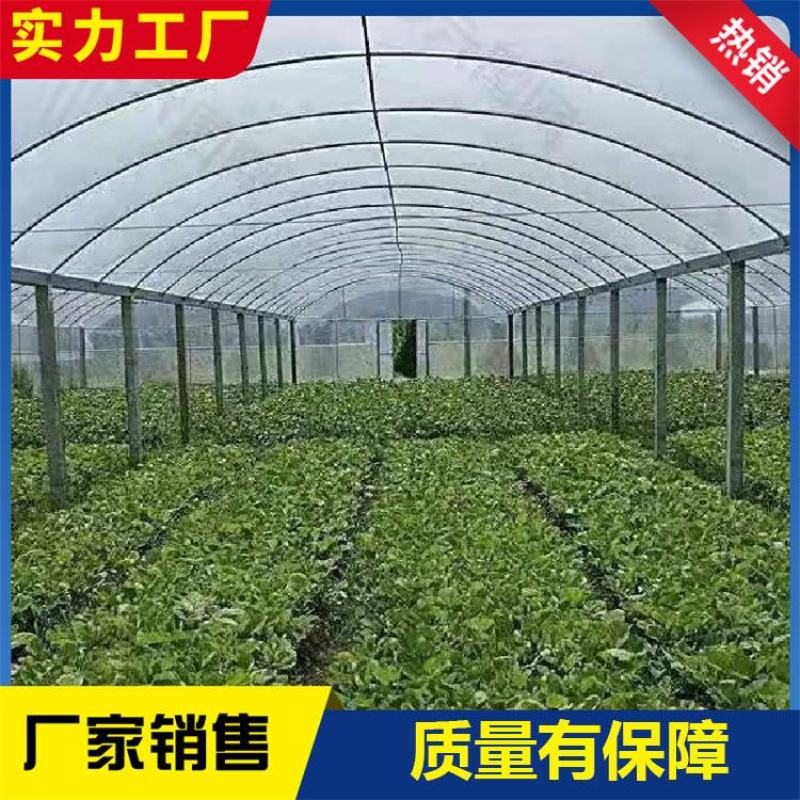 连栋棚蔬菜种植大棚水果种植棚草莓棚大棚管西瓜棚