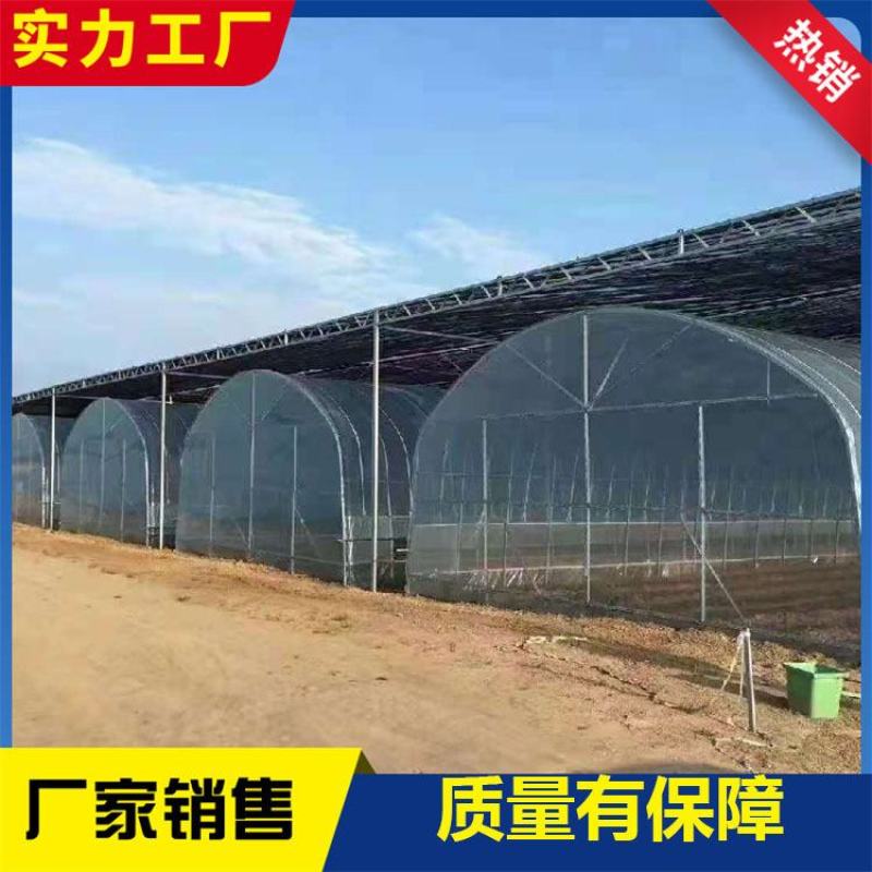 连栋棚蔬菜种植大棚水果种植棚草莓棚大棚管西瓜棚