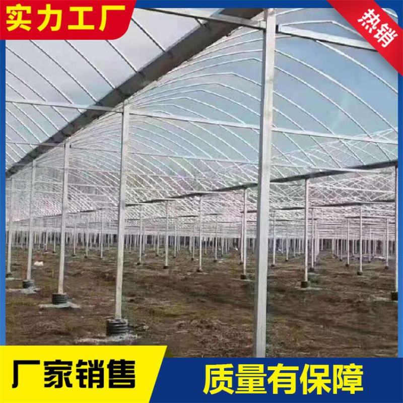 连栋棚蔬菜种植大棚水果种植棚草莓棚大棚管西瓜棚