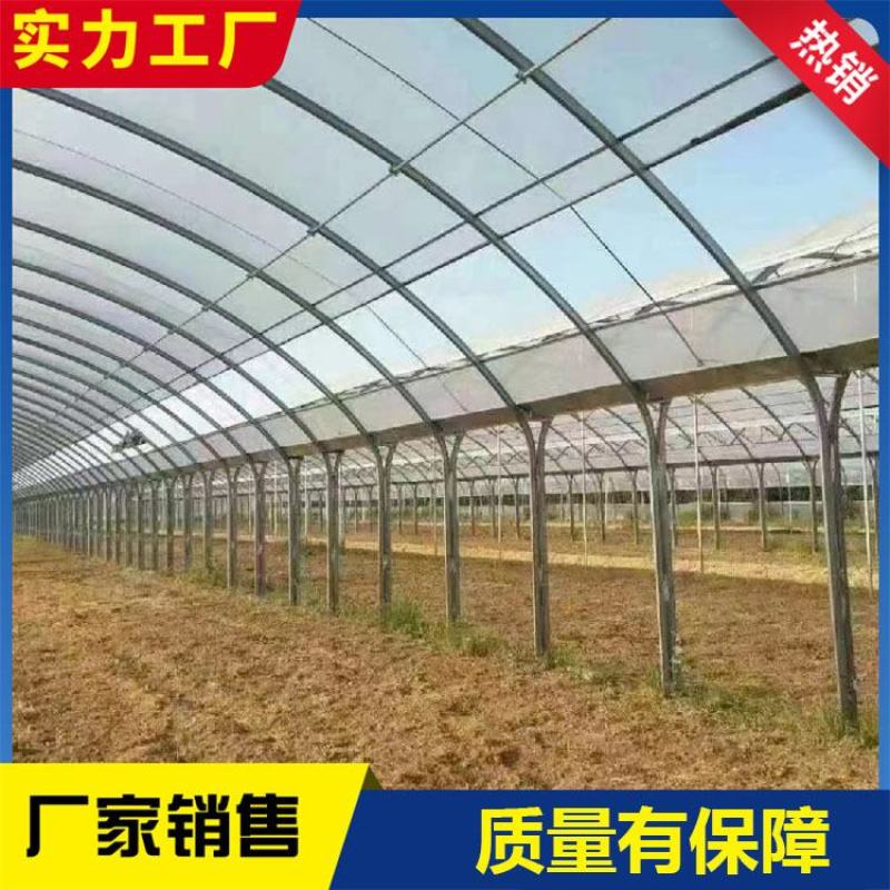 连栋棚蔬菜种植大棚水果种植棚草莓棚大棚管西瓜棚