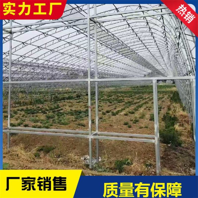 连栋棚蔬菜种植大棚水果种植棚草莓棚大棚管西瓜棚