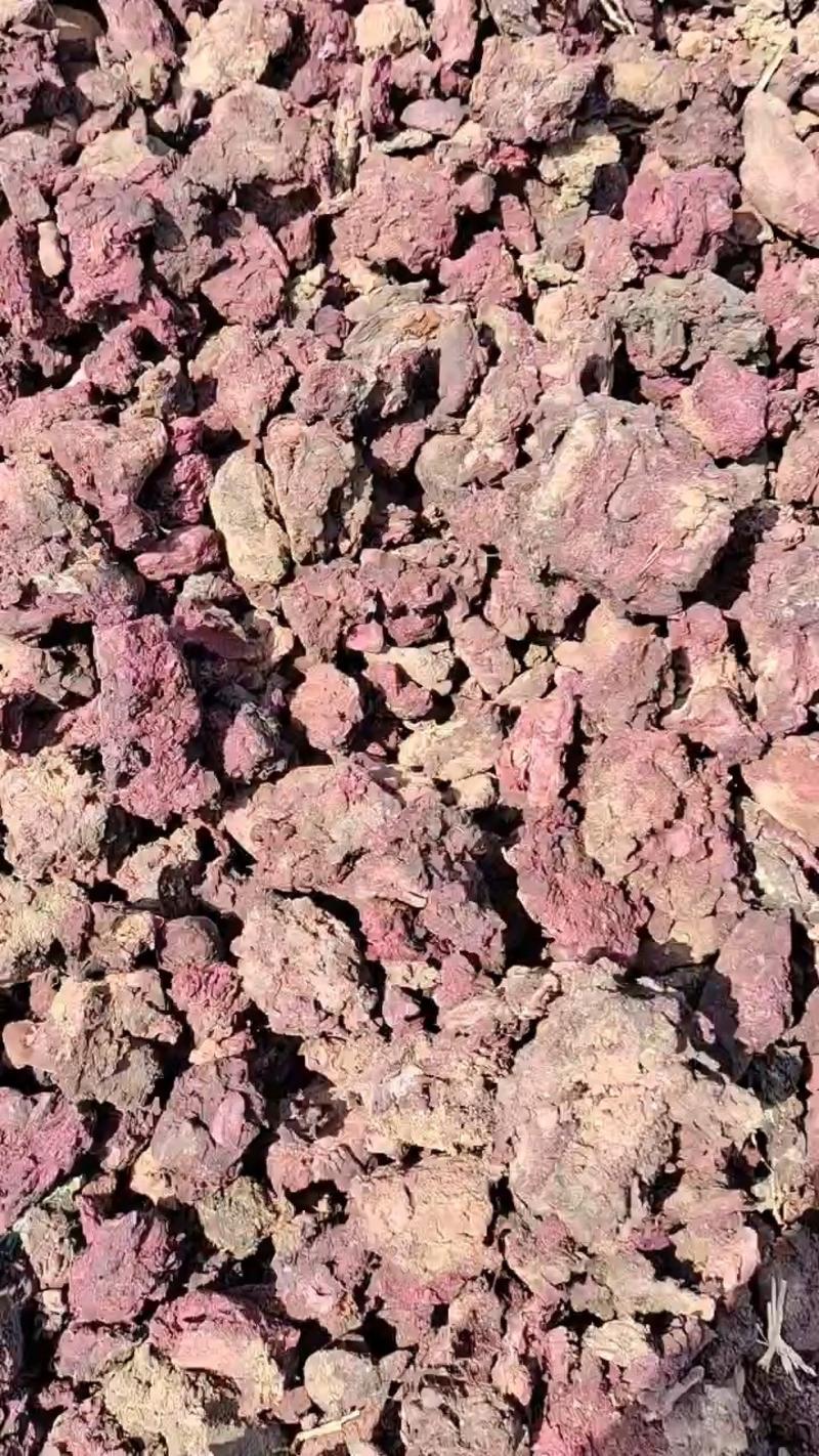 紫薯渣，适合牛羊猪马，可以直接投喂，降低成本。