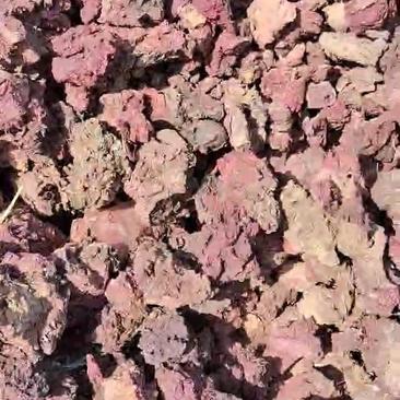 紫薯渣，适合牛羊猪马，可以直接投喂，降低成本。