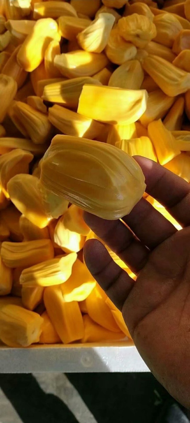 海南三亚菠萝蜜源头精品大果干苞黄肉现摘现发品质好