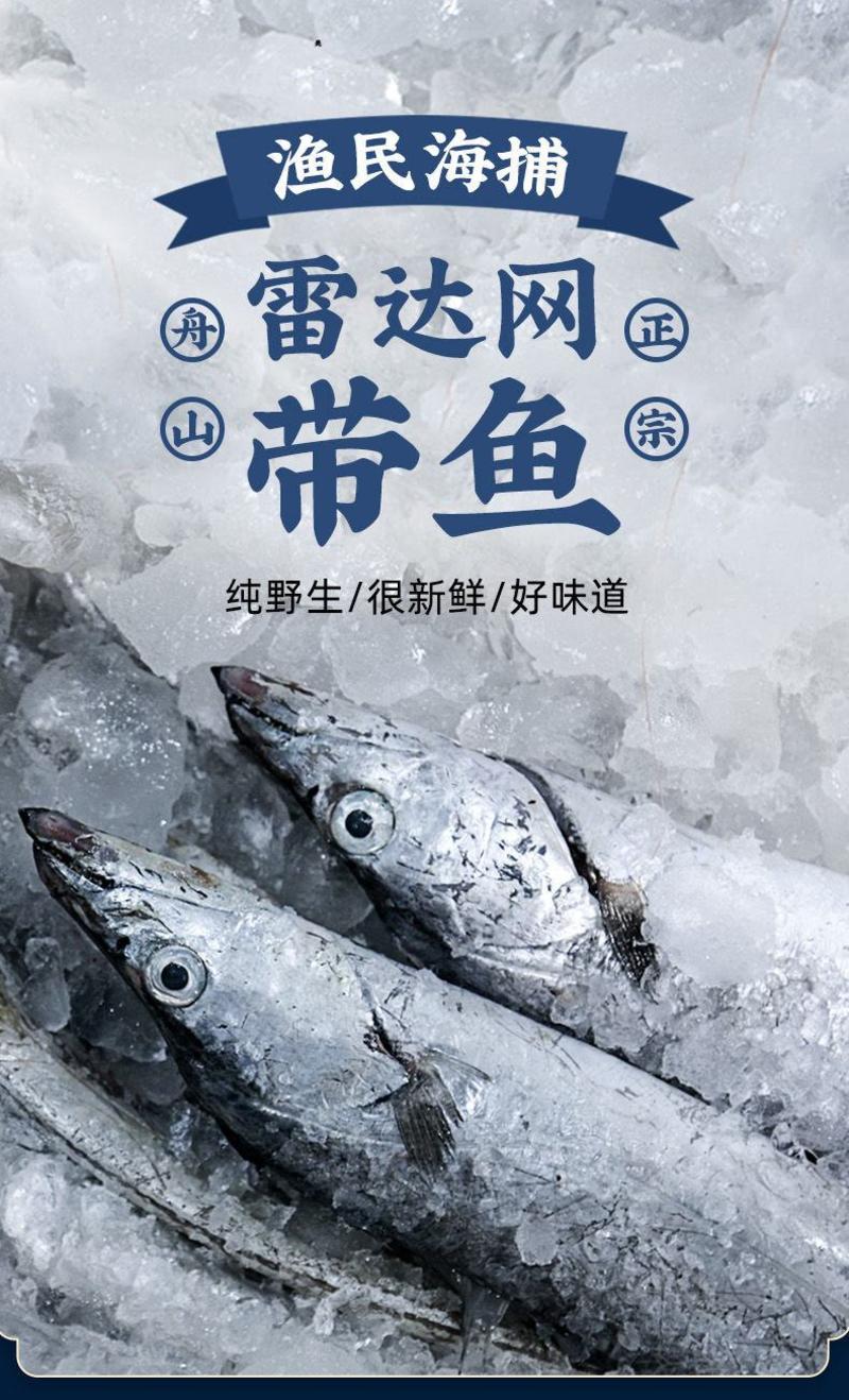 【包邮-特级大带鱼】热销舟山整条带鱼无冰新鲜深海水产