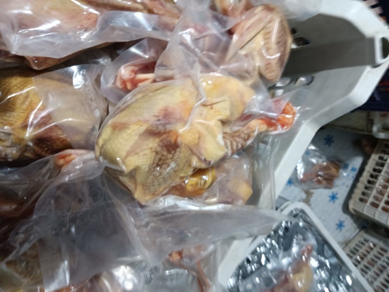 白条鸽养殖场常年供应老鸽子一手货，自产自销一件代发，