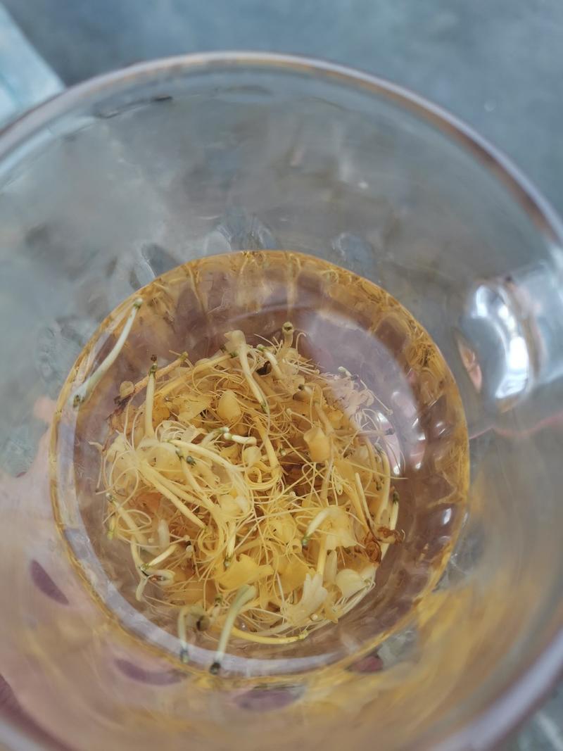 贵州野生藤型金银花有绒毛，可药用，泡茶微苦清香甘甜中药材