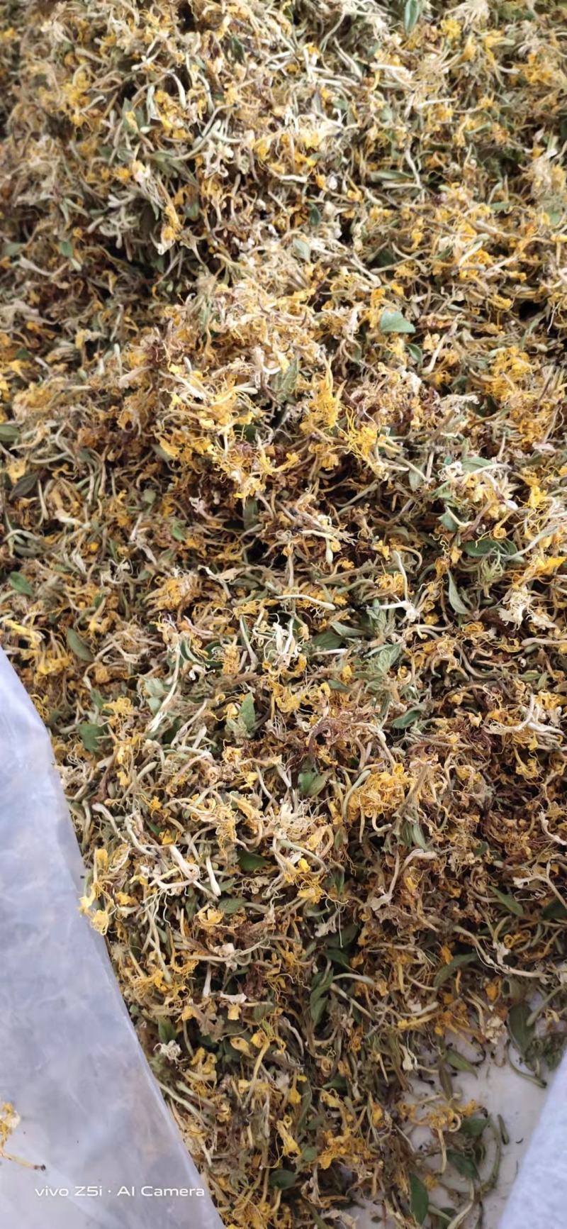 贵州野生藤型金银花有绒毛，可药用，泡茶微苦清香甘甜中药材