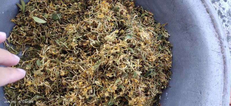 贵州野生藤型金银花有绒毛，可药用，泡茶微苦清香甘甜中药材
