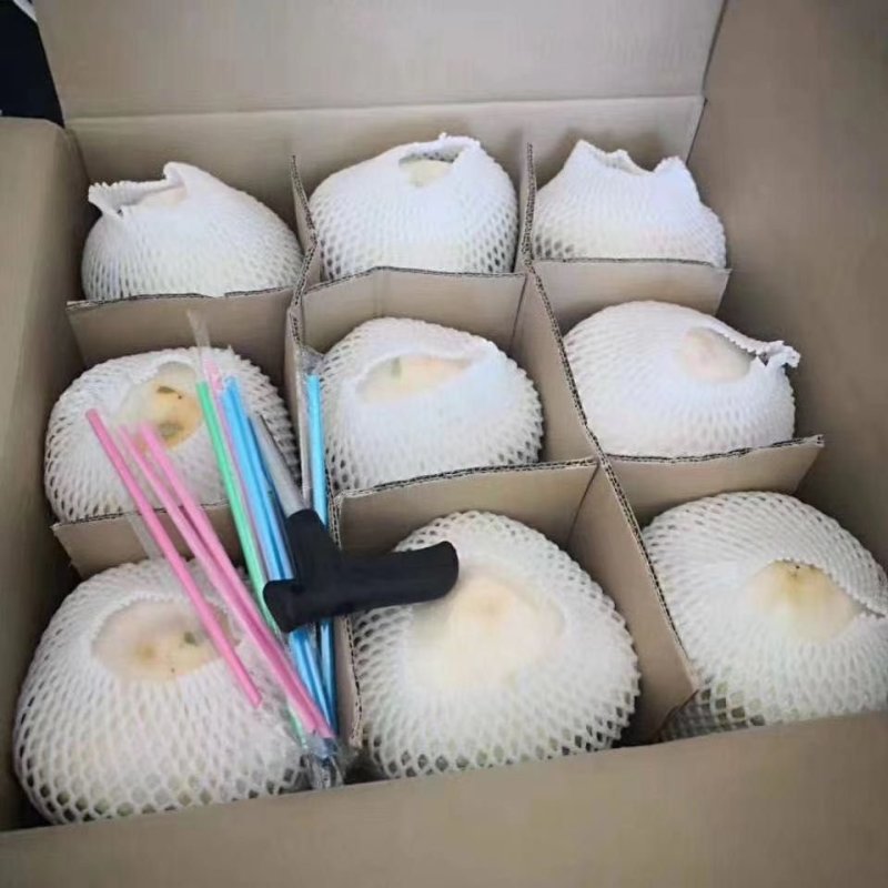 热销海南椰子长期有货原地直发量大优惠