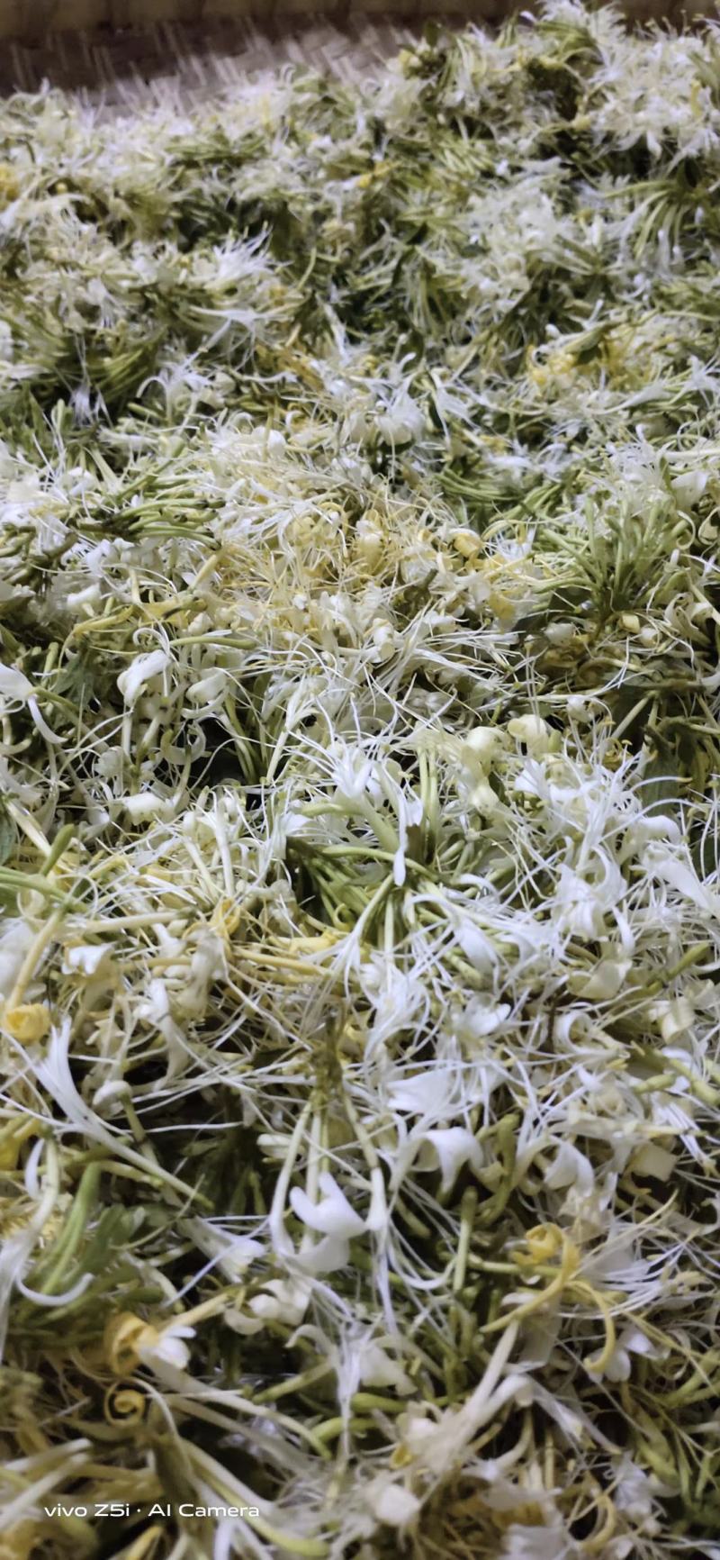 贵州野生藤型金银花有绒毛，可药用，泡茶微苦清香甘甜中药材
