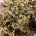 贵州野生藤型金银花有绒毛,可药用,泡茶微苦清香甘甜中药材