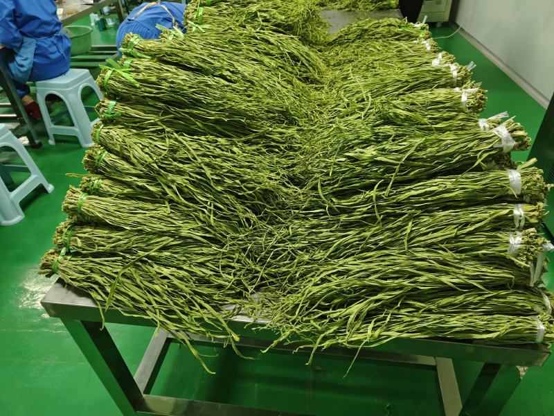 精品贡菜干，云南大理高原贡菜！精品10公分段定制
