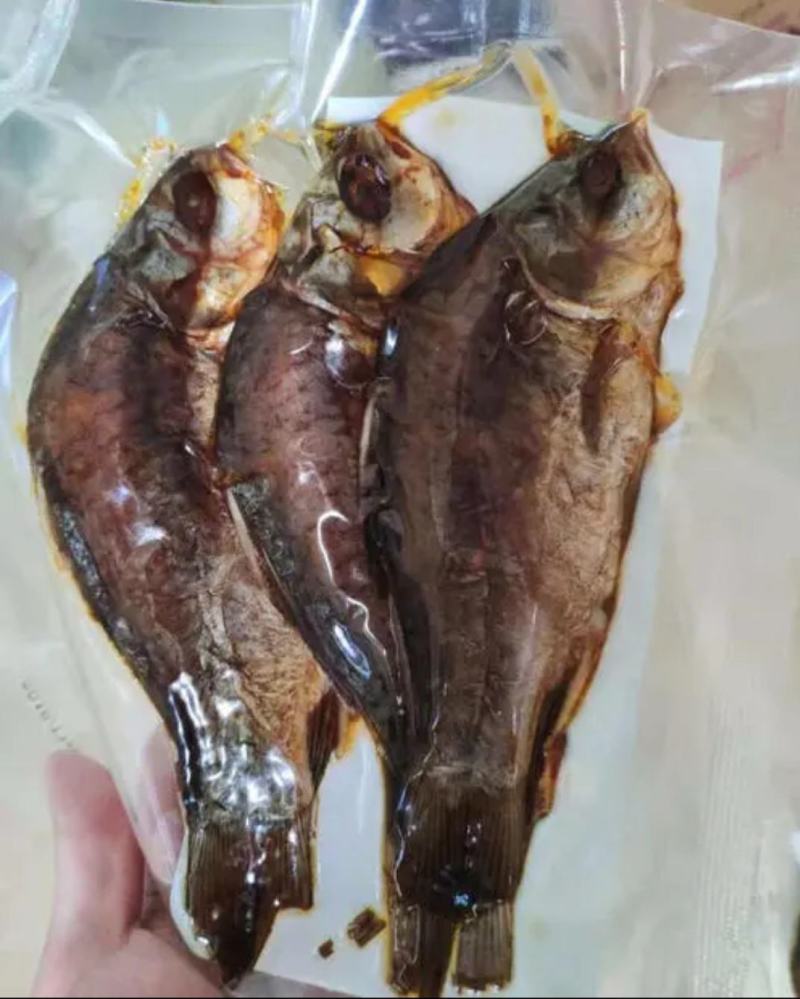 鲫鱼