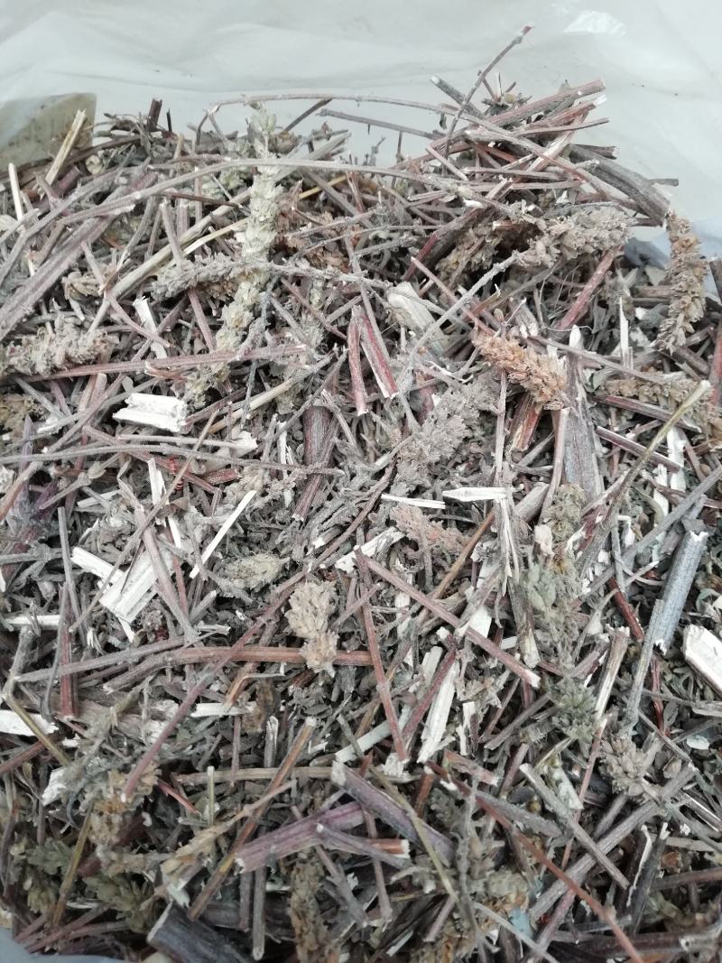 荆芥，荆芥野生全棵切段干品，