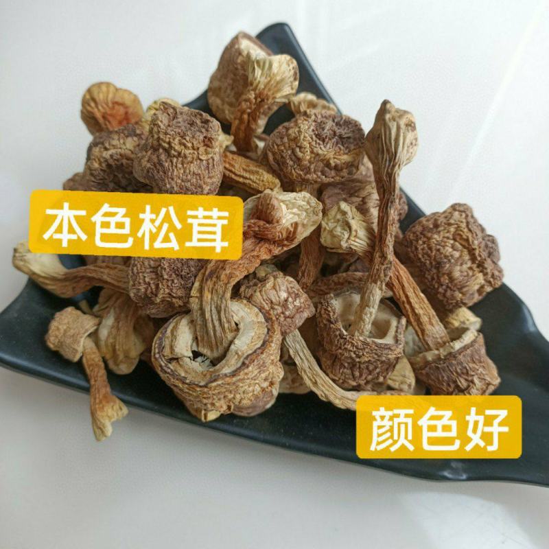 本色松茸，无硫，干度好，产地直销