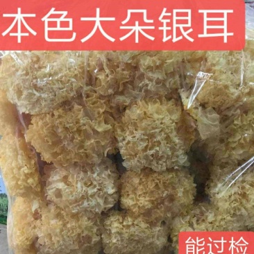 本色大朵银耳，能过检，放心买，产地直销。
